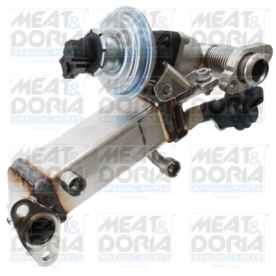 EGR Module